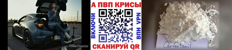 KRAKEN сайт  дарк нет Telegram  A-PVP крисы CK  Черногорск 