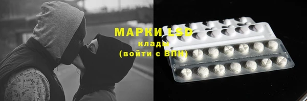 крисы Алзамай