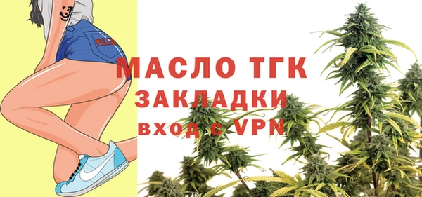 мдпв Гусев