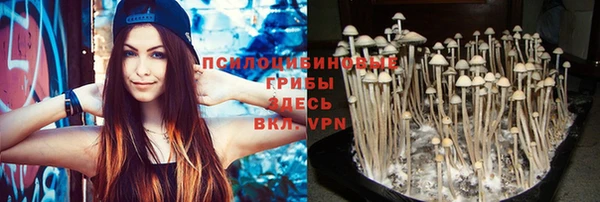 метамфетамин Гусиноозёрск
