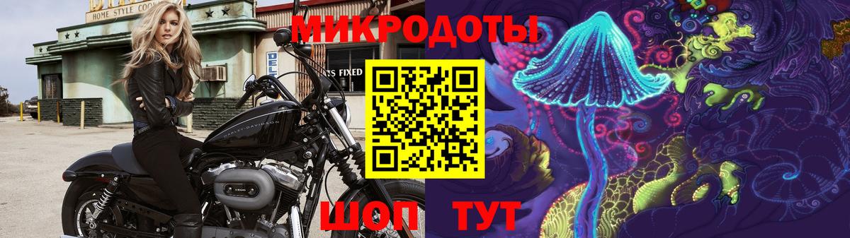 Черногорск  Галлюциногенные грибы прущие грибы  Вход с VPN  Псилоцибиновые грибы MAGIC MUSHROOMS 