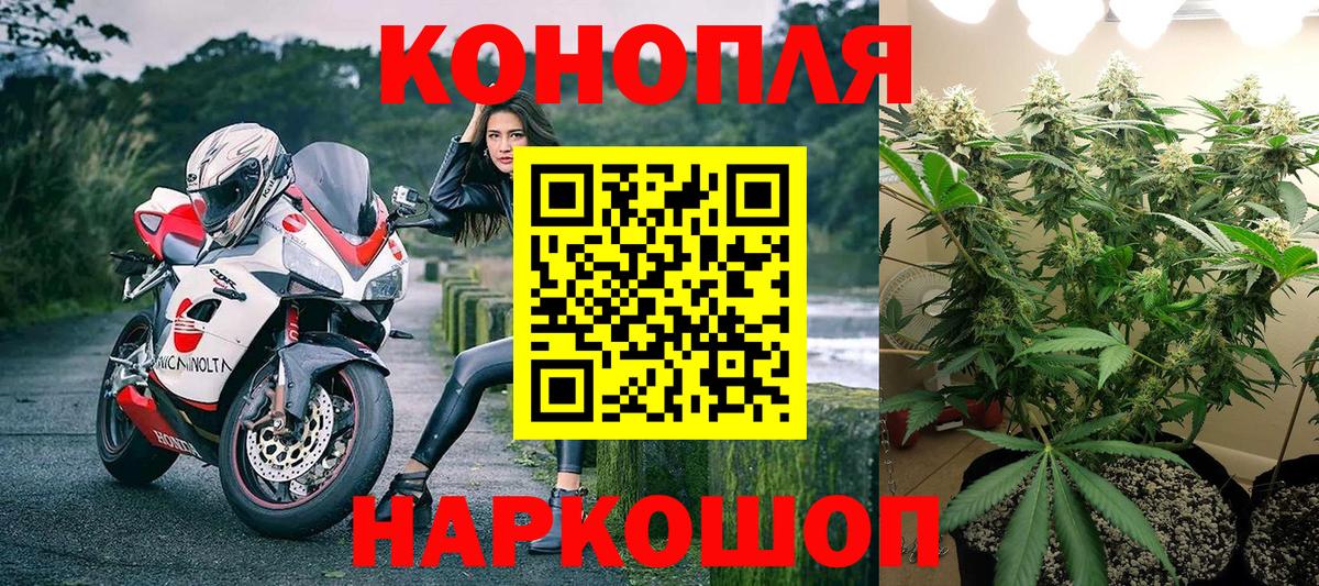 Марихуана OG Kush Черногорск